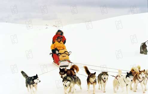Antartica, prisonniers du froid : Photo Frank Marshall, Bruce Greenwood, Paul Walker