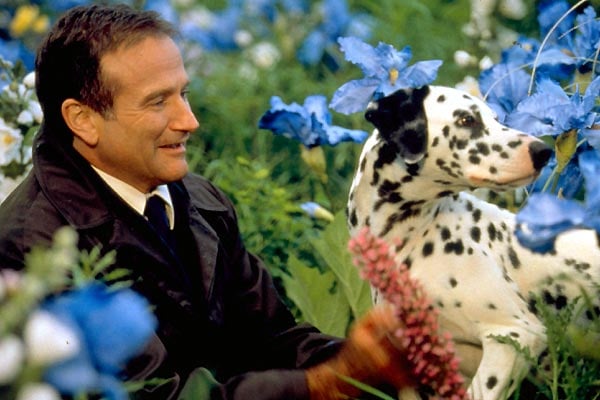 Au-delà de nos rêves : Photo Robin Williams, Vincent Ward