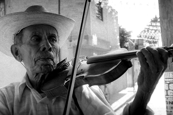 Le Violon : Photo Francisco Vargas