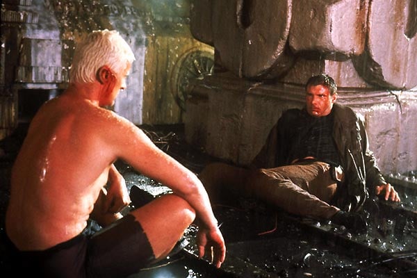 Blade Runner : Photo Harrison Ford, Rutger Hauer