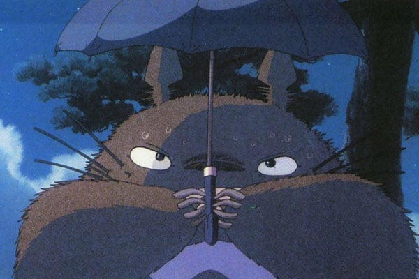 Mon voisin Totoro : Photo