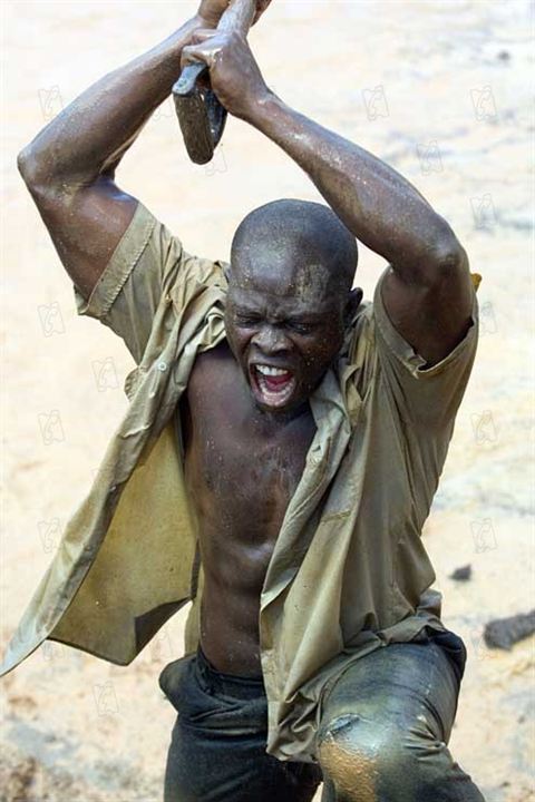 Blood Diamond : Photo Edward Zwick, Djimon Hounsou
