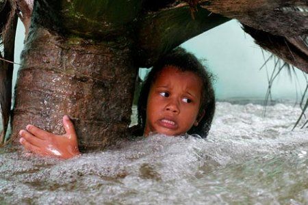 Tsunami : Photo