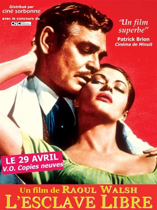 L'Esclave libre : Affiche Raoul Walsh