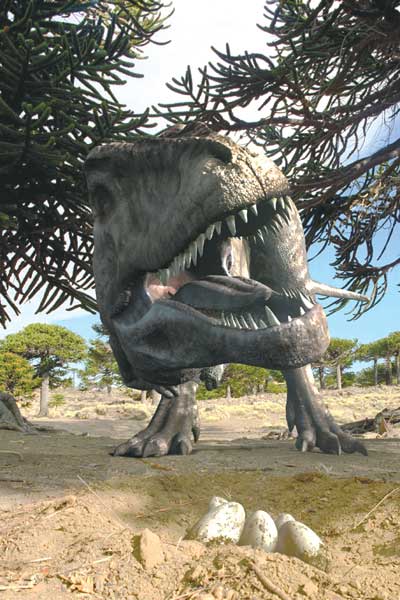 Dinosaures 3D : Géants de Patagonie : Photo Marc Fafard