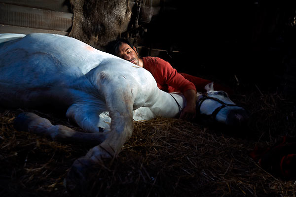 Lucky Luke : Photo Jean Dujardin