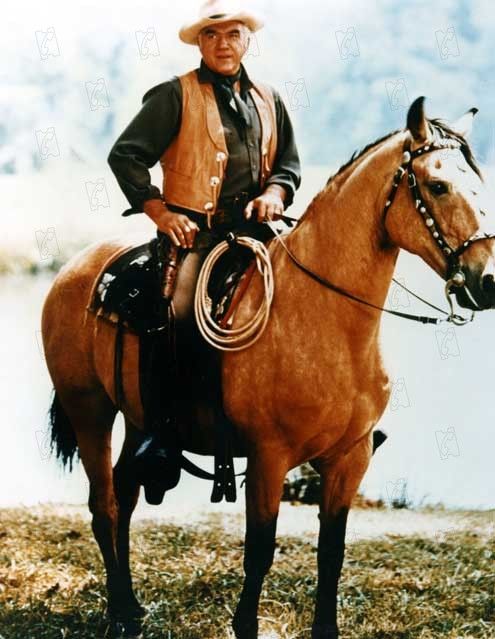 Bonanza : Photo
