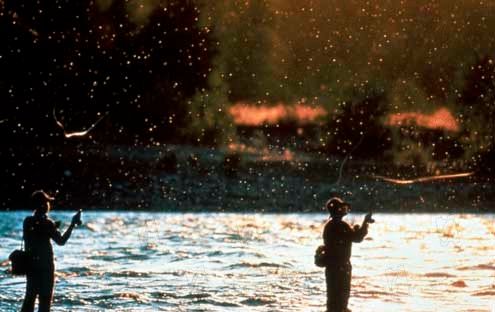 Et au milieu coule une rivière : Photo Robert Redford