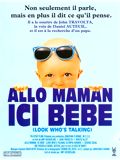 Allo maman ici bébé : Affiche