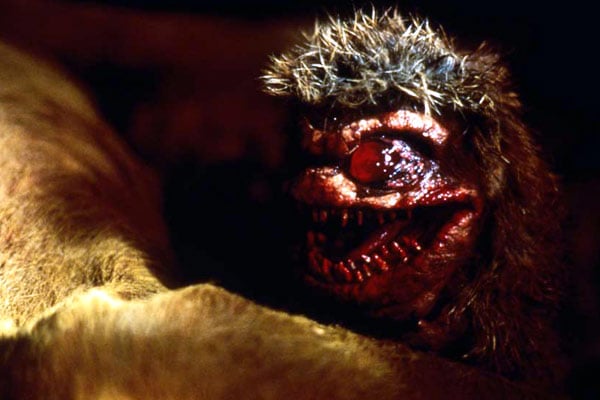 Critters 2: The Main Course : Photo Mick Garris