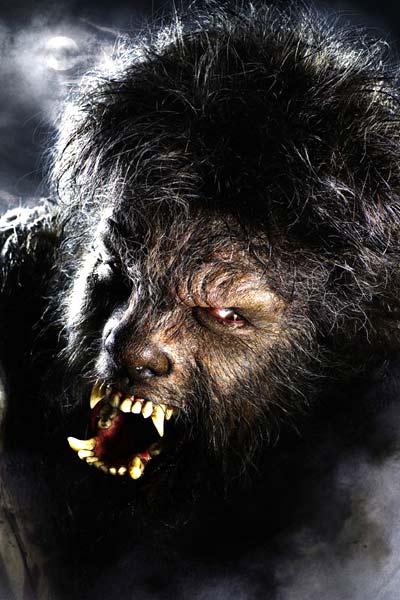 Wolfman : Photo Benicio Del Toro, Joe Johnston