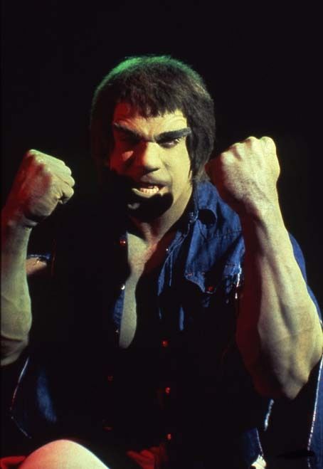 Photo Lou Ferrigno