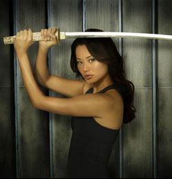 Samurai Girl : Affiche