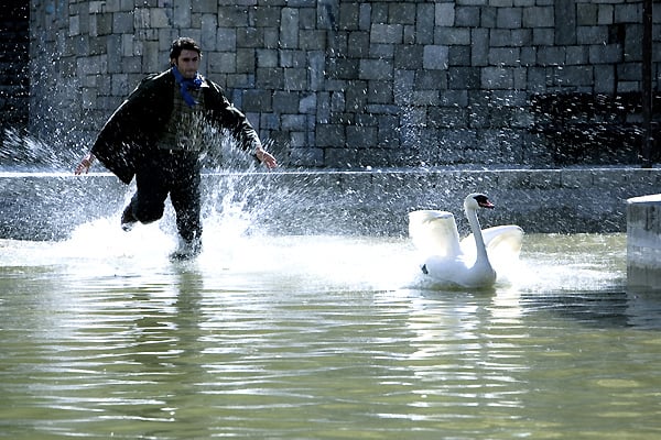 Pour un Instant, la Liberté : Photo Arash T. Riahi