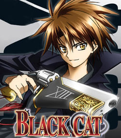 Black Cat : Affiche