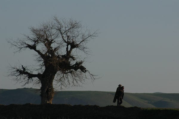 L'Enfant-cheval : Photo Samira Makhmalbaf