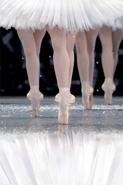 La Danse, le ballet de l'Opéra de Paris : Photo Frederick Wiseman