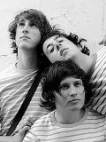 Affiche The Wombats