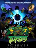 Turtles Forever : Affiche