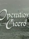 Operation Cicero : Affiche