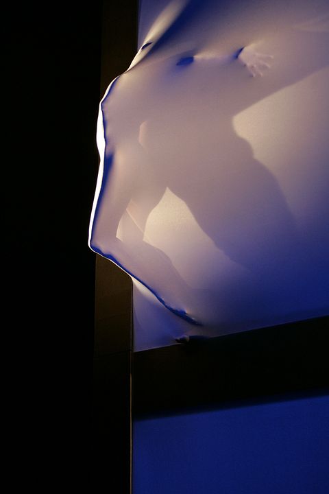 Pas à pas : Photo