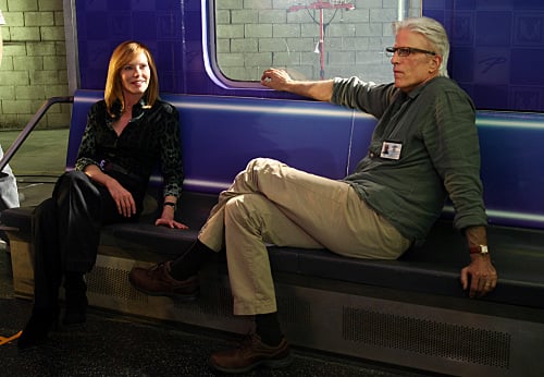 Les Experts : Photo Ted Danson, Marg Helgenberger