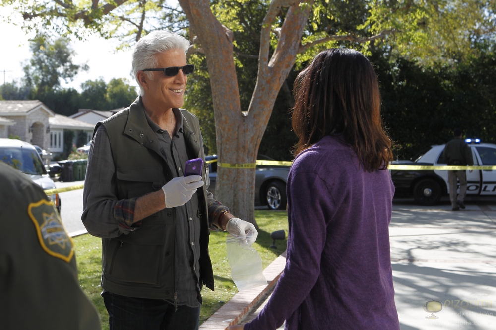 Les Experts : Photo Wendy Crewson, Ted Danson
