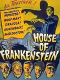 La Maison de Frankenstein : Affiche