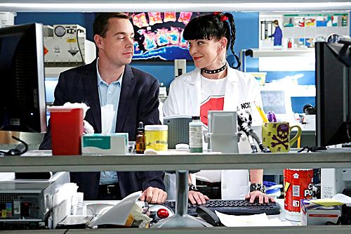 NCIS : Enquêtes spéciales : Photo Sean Murray, Pauley Perrette