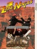 3 Little Ninjas and the Lost Treasure : Affiche