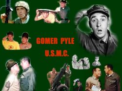 Gomer Pyle, U.S.M.C. : Affiche