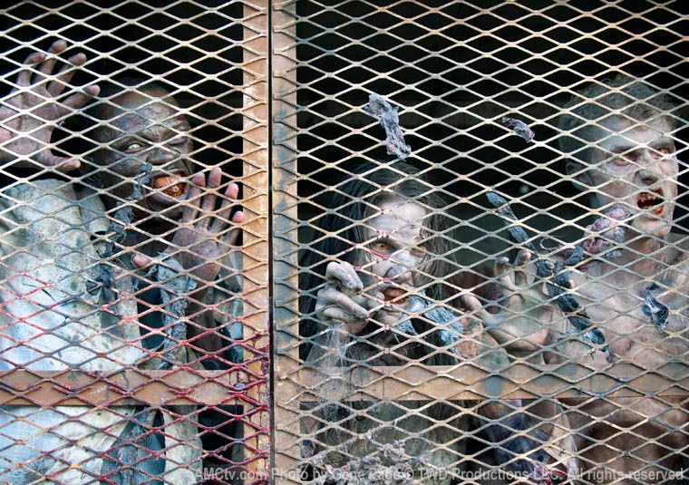 The Walking Dead : Photo