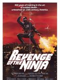 Ultime Violence - Ninja 2 : Affiche