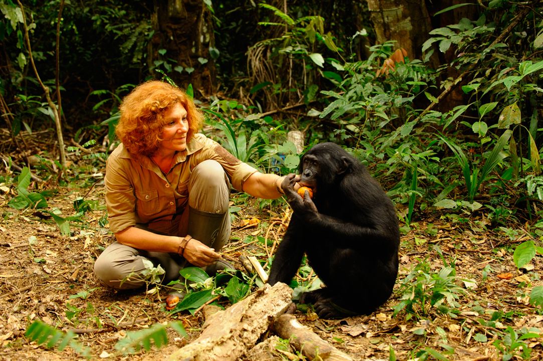 Bonobos : Photo Alain Tixier, Claudine André