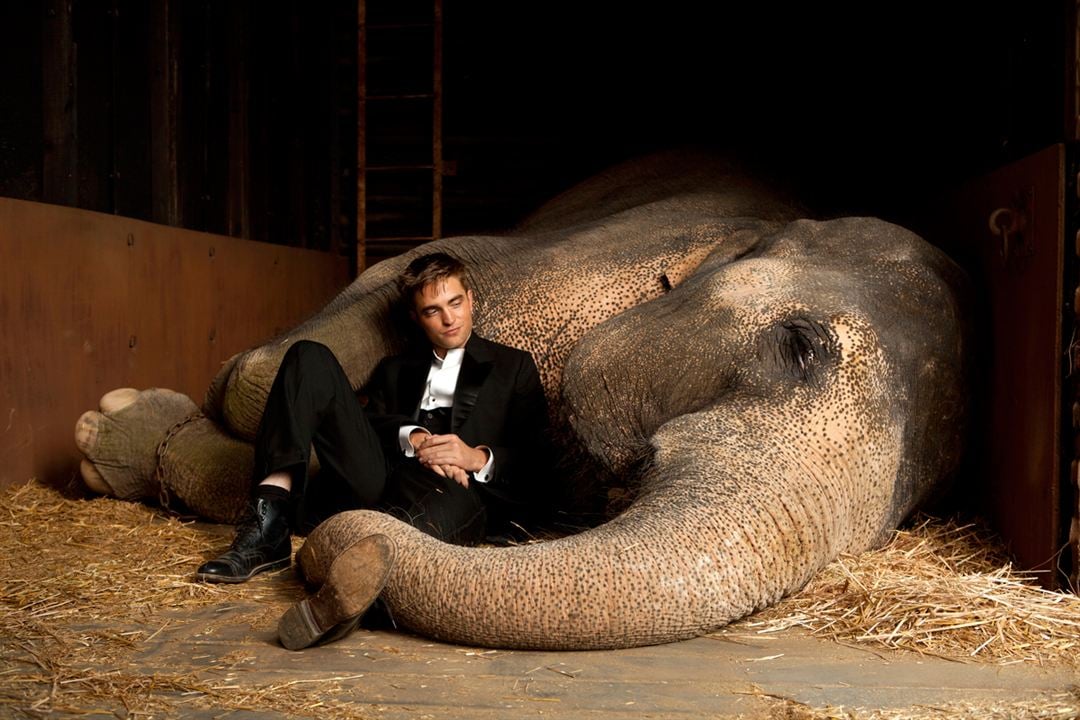 De l'eau pour les éléphants : Photo Robert Pattinson