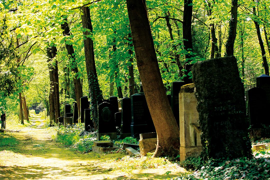 Im Himmel, unter der Erde - Der jüdische Friedhof Weißensee : Photo