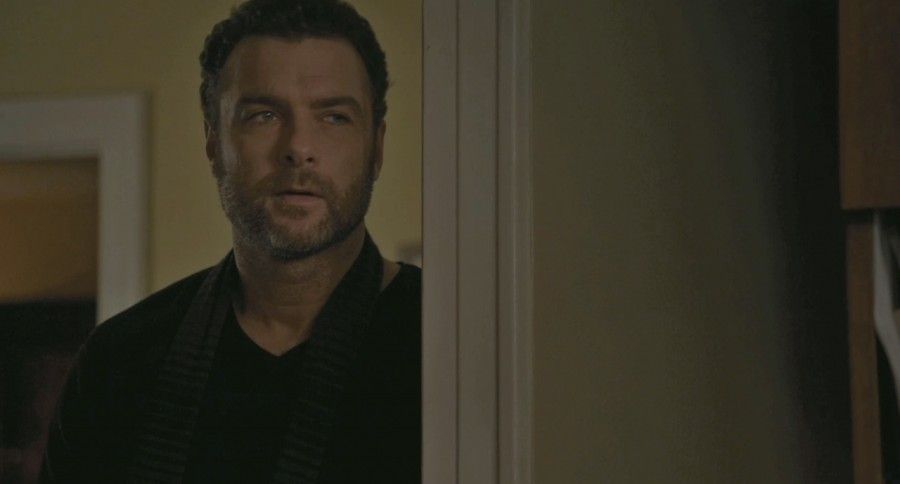 Every Day : Photo Liev Schreiber