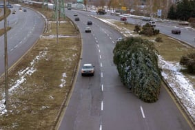 Le Sapin de Noël à l'Envers : Photo Vassil Jivkov, Ivan Tscherkelov