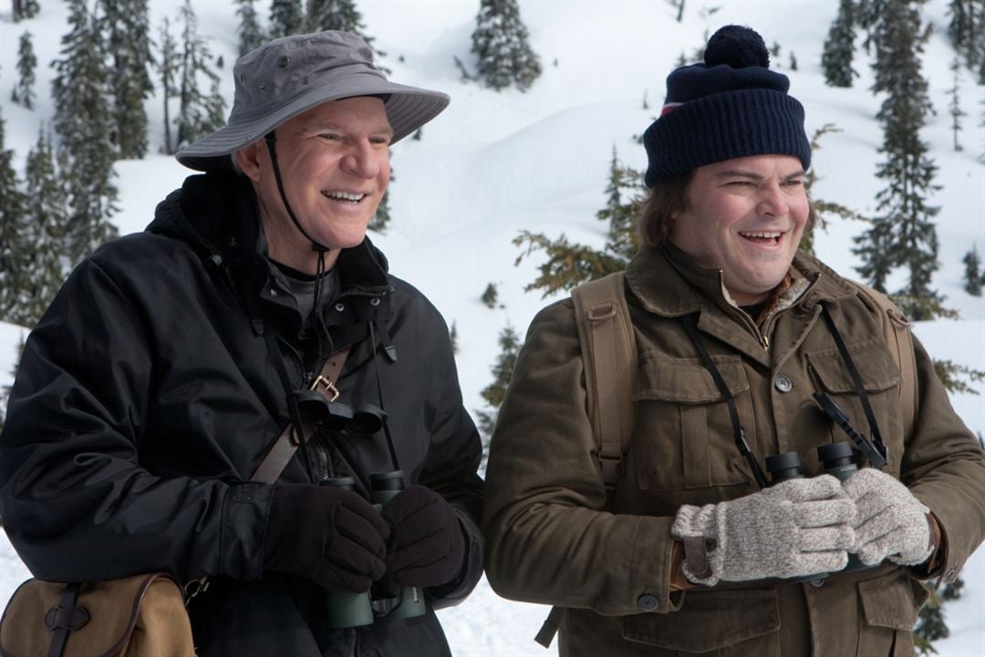 Drôles d'oiseaux : Photo Steve Martin, Jack Black