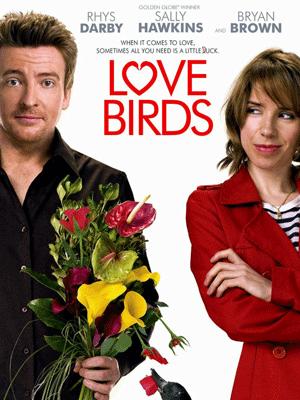 Love Birds : Affiche