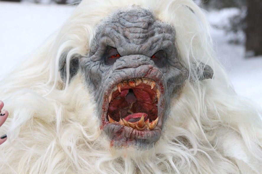 Snow Beast : Photo