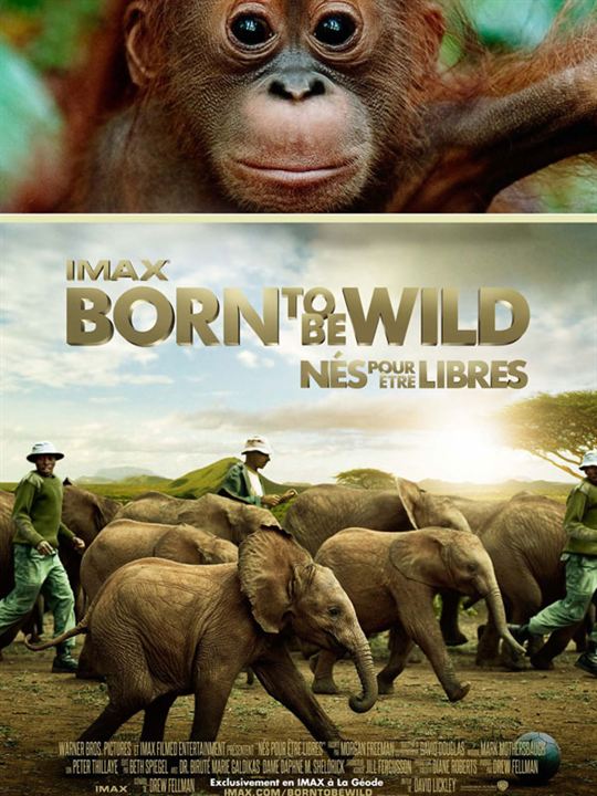 Born to be Wild - Nés pour être libres : Affiche