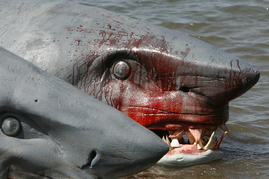 L'Attaque du requin à deux têtes : Photo