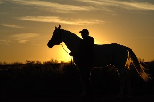Tornado and the Kalahari Horse Whisperer : Photo
