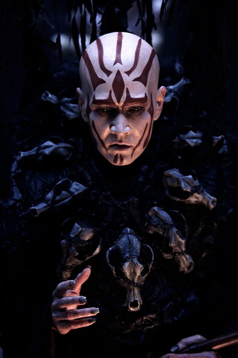 Painted Skin: The Resurrection : Photo