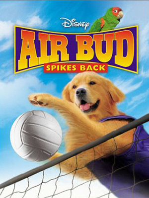 Airbud 5 : superstar : Affiche