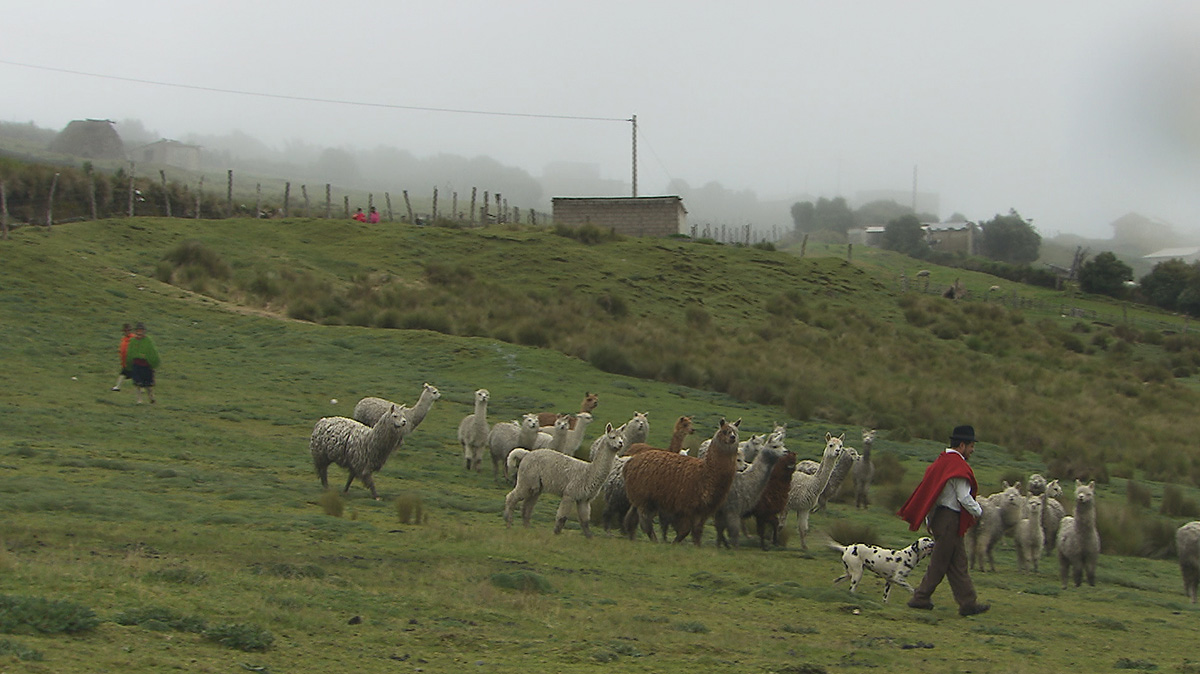 Ecuador une politique au-delà de l'utopie : Photo