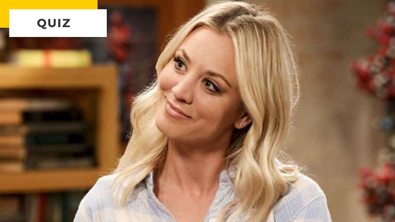 Quiz The Big Bang Theory Francais Quiz The Big Bang Theory : seuls les vrais fans de Penny auront tout bon !  - News Séries à la TV - AlloCiné
