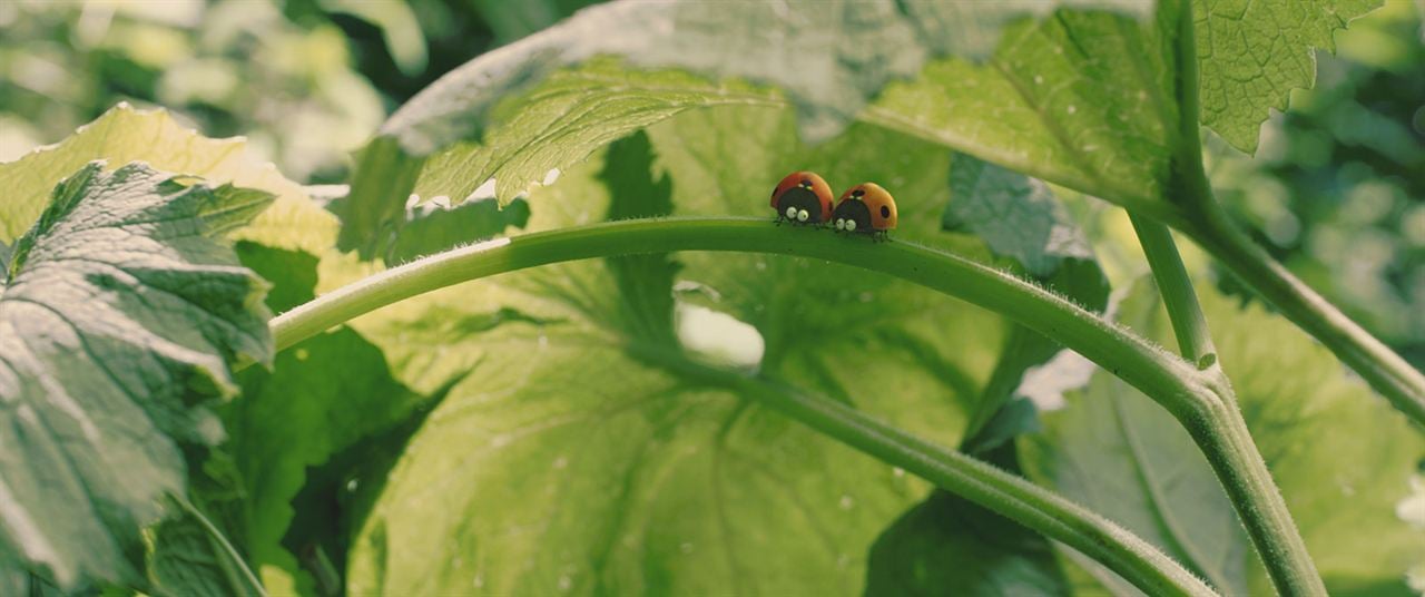 Minuscule - La vallée des fourmis perdues : Photo