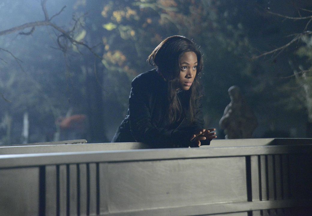 Sleepy Hollow : Photo Nicole Beharie